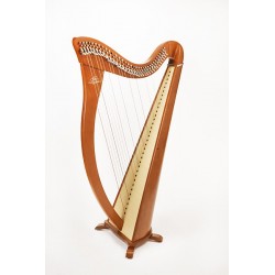 Location harpe celtique Camac