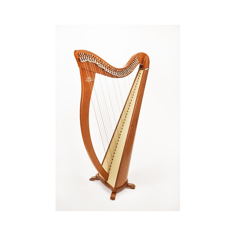 Location harpe celtique Camac