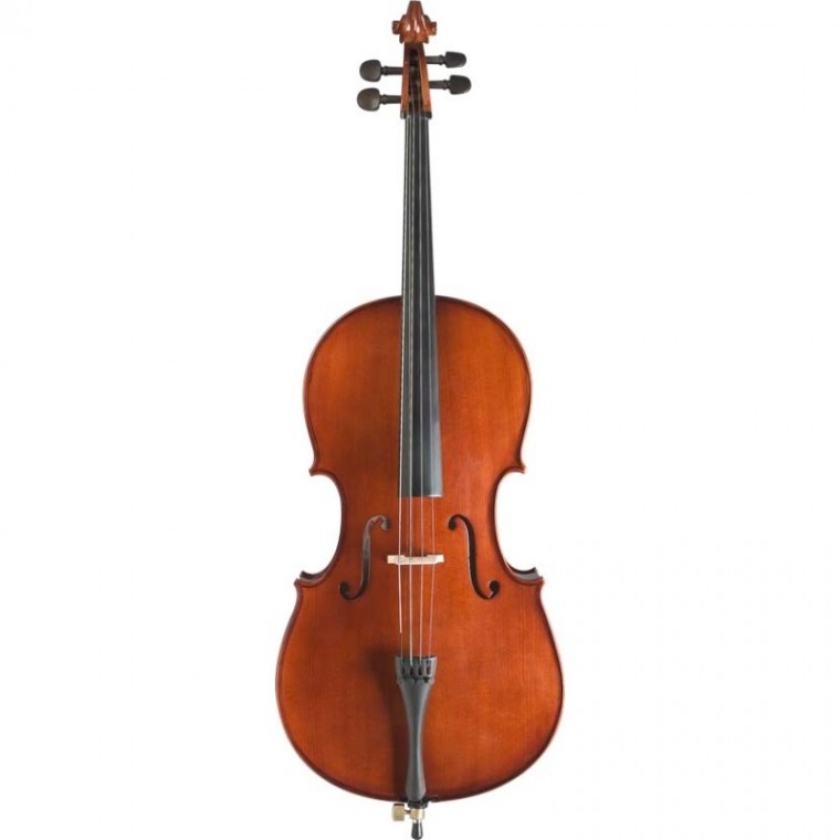 Location violon d'étude