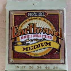 Cordes folk Ernie Ball Earthwood medium 13-56