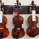 Violon Stagg 4/4