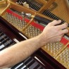 Contrat 5 Accords de piano