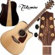 Takamine GD93CENAT