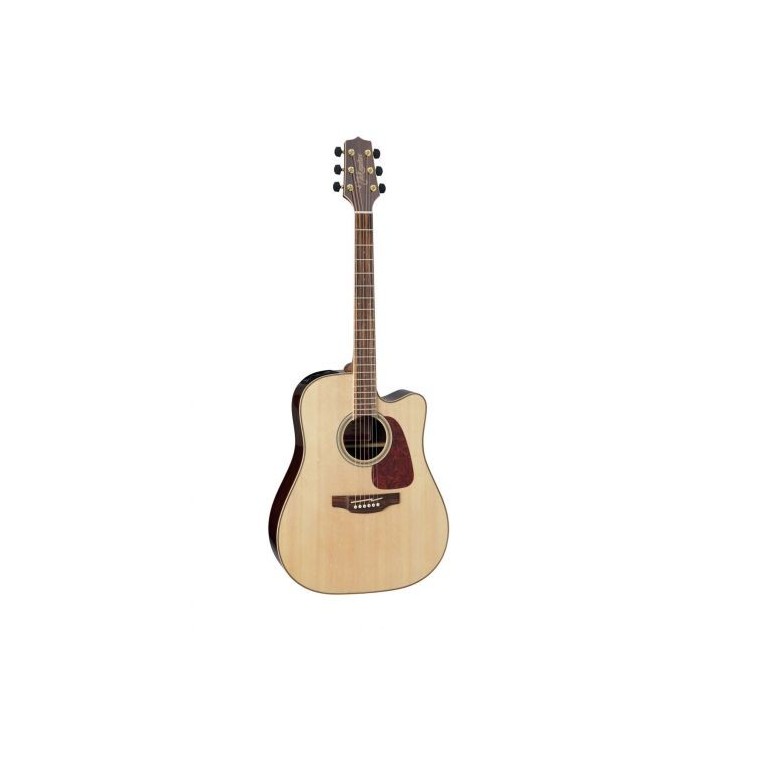 Takamine GD93CENAT