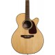 Takamine GN93CENAT