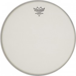 Peau Remo Ambassador 22'' sablée