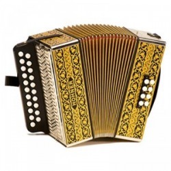 Accordéon diatonique Hohner 2915