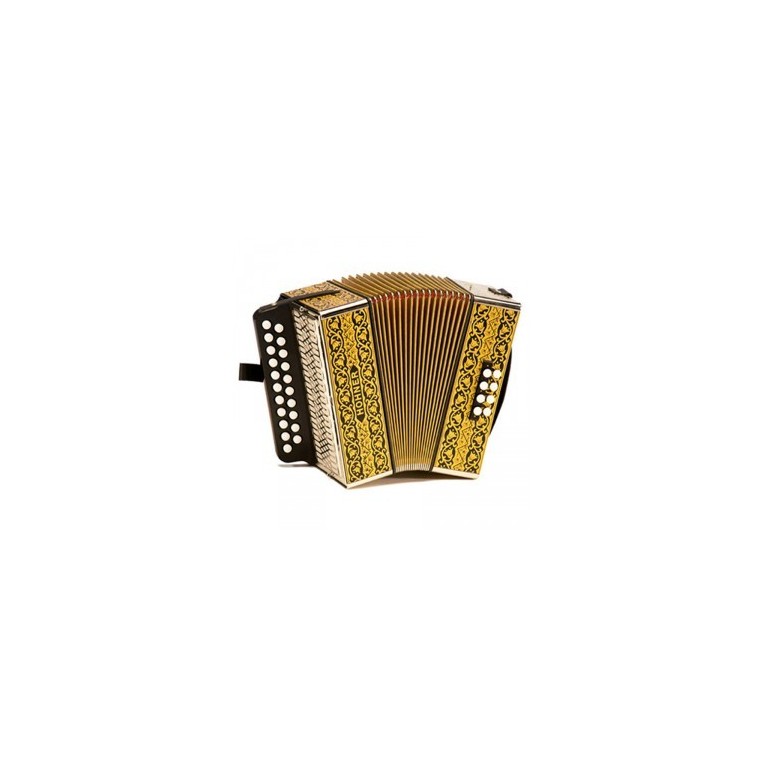 Accordéon diatonique Hohner 2915