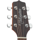 Takamine GD10NS