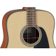 Takamine GD10NS