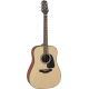 Takamine GD10NS