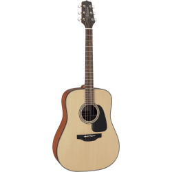 Takamine GD10NS