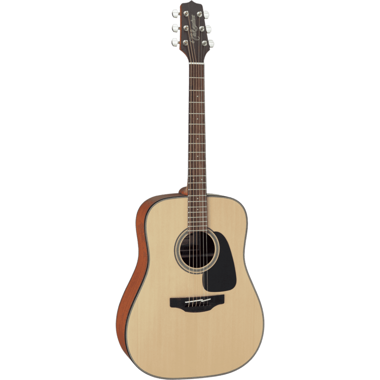 Takamine GD10NS