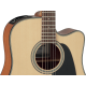 Takamine GD10CENS Electro-acoustique