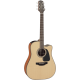 Takamine GD10CENS Electro-acoustique