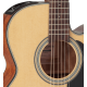 Takamine GD10CENS Electro-acoustique