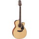 Takamine GD10CENS Electro-acoustique