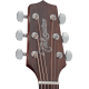 Takamine GF15CE Electro-acoustique