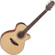 Takamine GF15CE Electro-acoustique