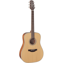 Takamine GD20NS