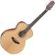 Takamine GN20NS