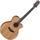 Takamine GN20CENS Electro-acoustique