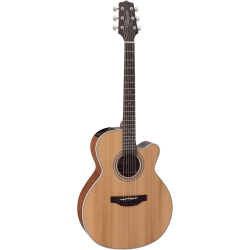 Takamine GN20CENS Electro-acoustique