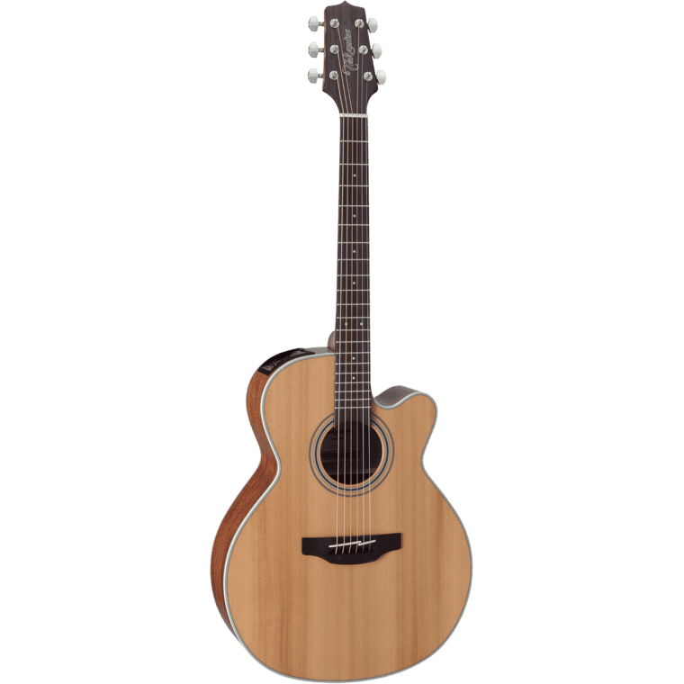 Takamine GN20CENS Electro-acoustique