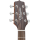 Takamine GF30CE