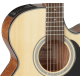 Takamine GF30CE