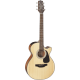 Takamine GF30CE