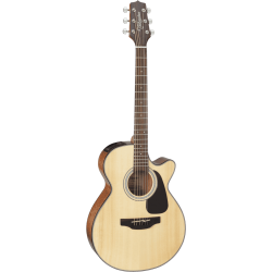 Takamine GF30CE