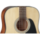 Takamine GD30NAT