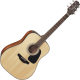 Takamine GD30NAT