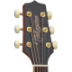 Takamine GD51CENAT Electro