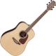 Takamine GD93NAT