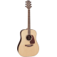 Takamine GD93NAT