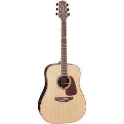 Takamine GD93NAT