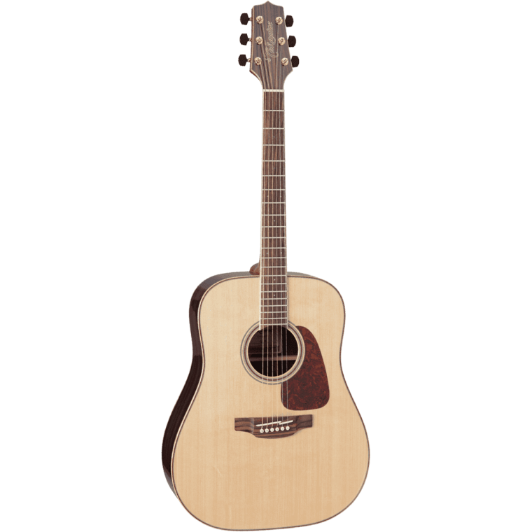 Takamine GD93NAT