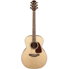 Takamine GN93NAT