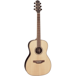 Takamine GY93NAT