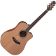 Takamine EN10C