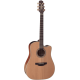 Takamine EN10C