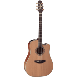 Takamine EN10C