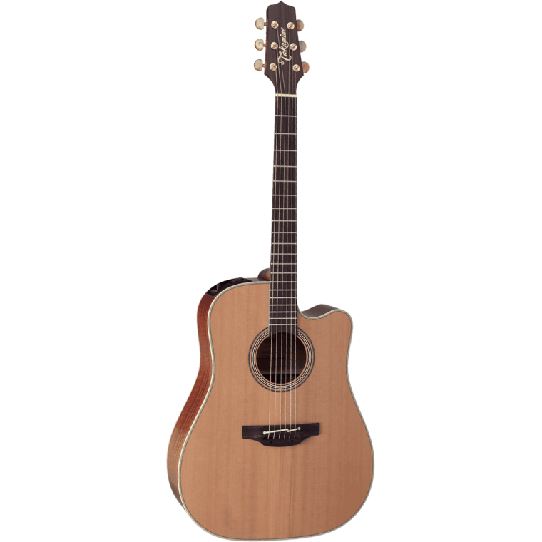 Takamine EN10C