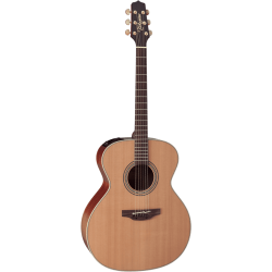 Takamine EN20