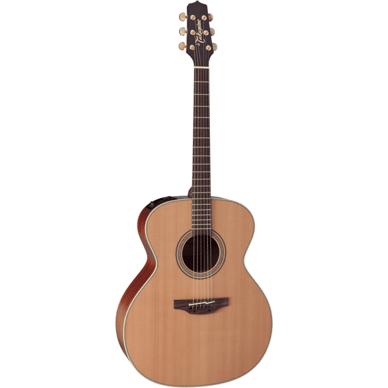 Takamine EN20