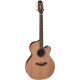 Takamine EN40C