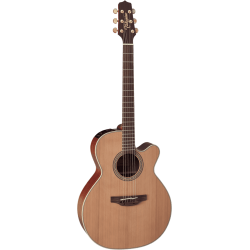 Takamine EN40C