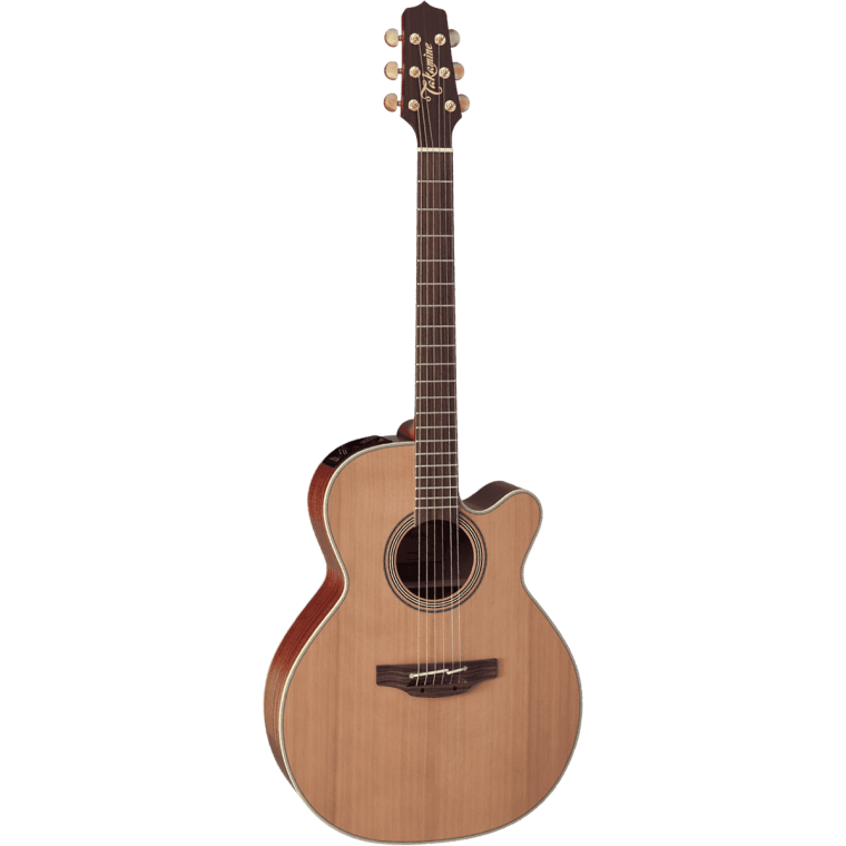 Takamine EN40C